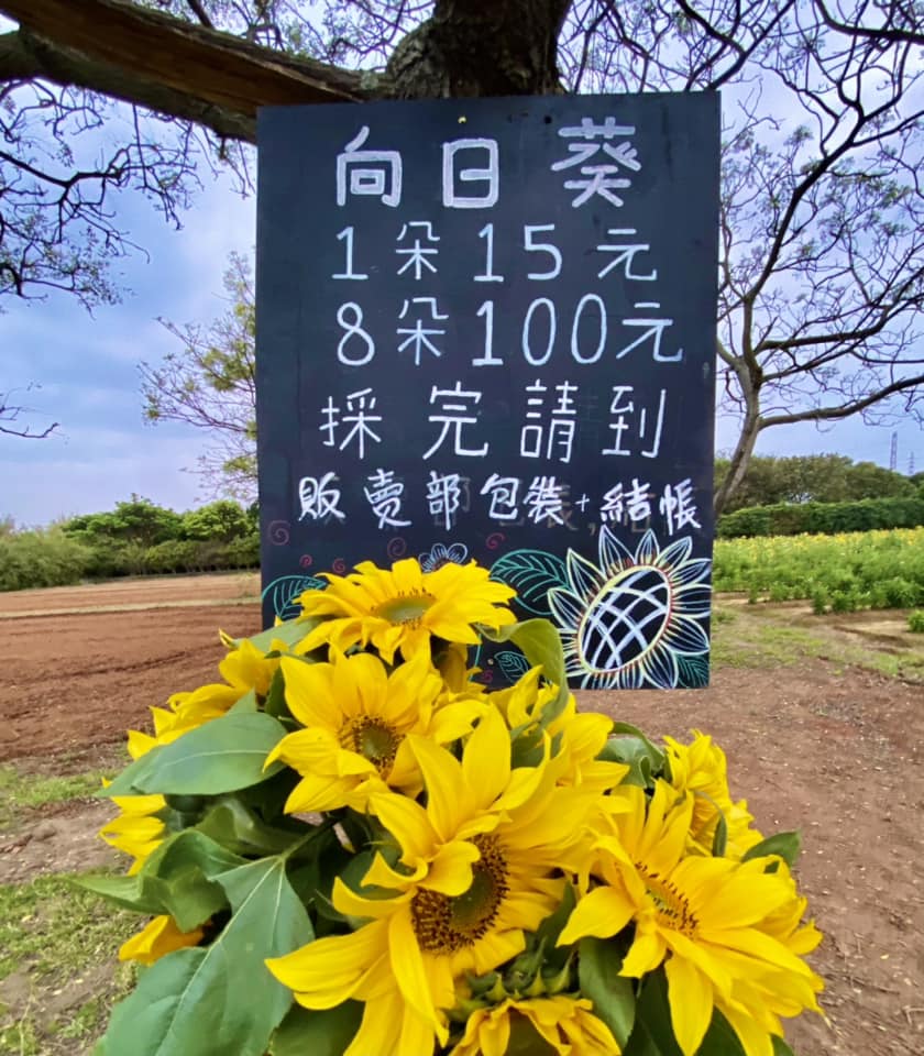 【青林農場】桃園親子景點，大草皮、小沙坑、小火車、採花、控窯