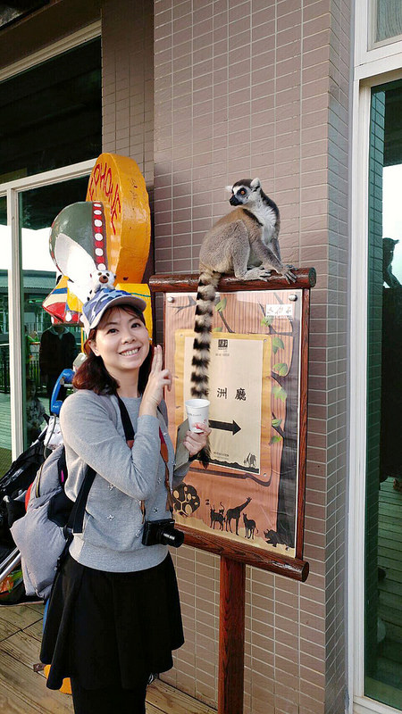 新竹親子飯店推薦｜關西六福莊生態度假旅館｜與動物的親密接觸