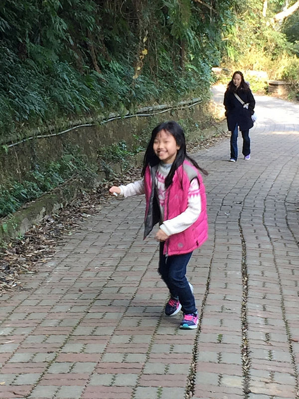 桃園復興鄉一日遊景點｜三民蝙蝠洞→角板山→東眼山國家森林遊樂區