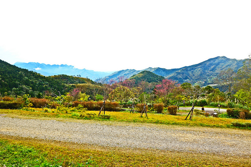 桃園復興鄉一日遊景點｜三民蝙蝠洞→角板山→東眼山國家森林遊樂區