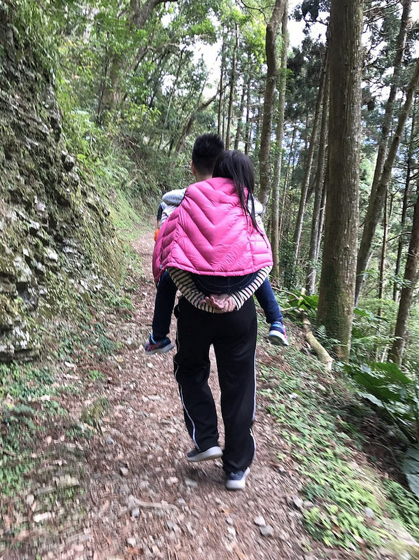 桃園復興鄉一日遊景點｜三民蝙蝠洞→角板山→東眼山國家森林遊樂區