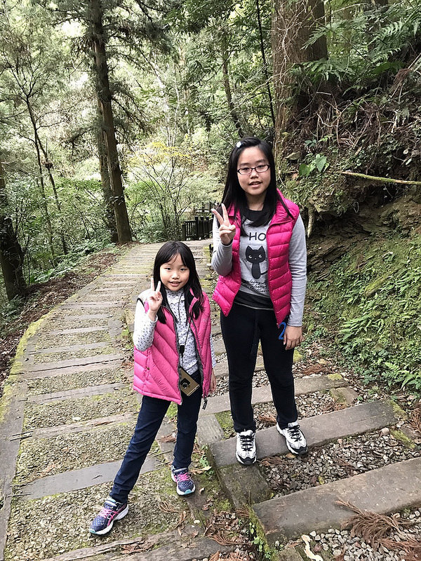 桃園復興鄉一日遊景點｜三民蝙蝠洞→角板山→東眼山國家森林遊樂區