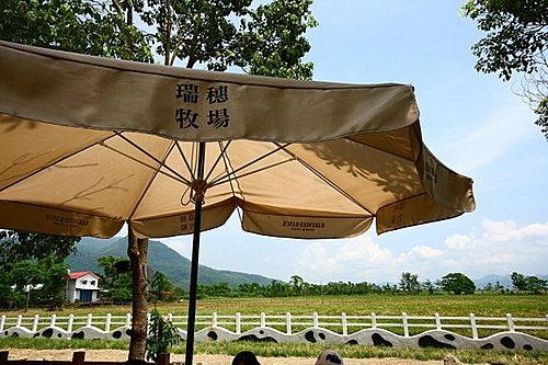 【花蓮景點】瑞穗牧場，喝牛奶、吃早餐的花蓮親子景點