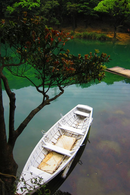 [婚紗景點]汐止新山夢湖・夢幻婚紗照熱門景點