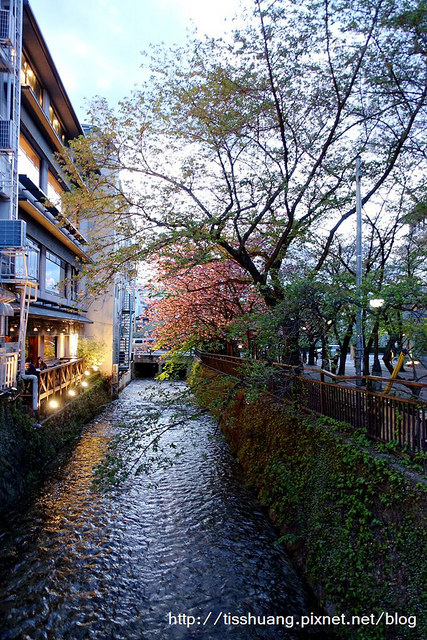 京都哲學之道清水寺177