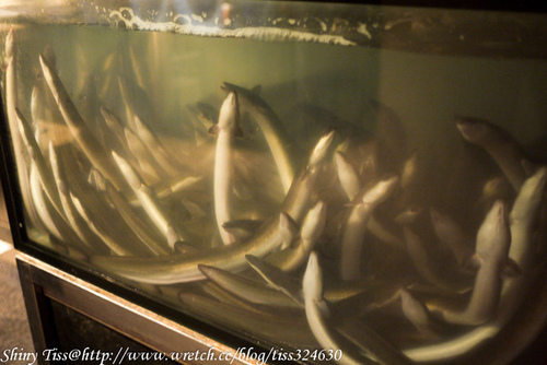 捷運中山站美食｜浜松屋（濱松屋 ）鰻魚三吃｜超特別的鰻魚飯