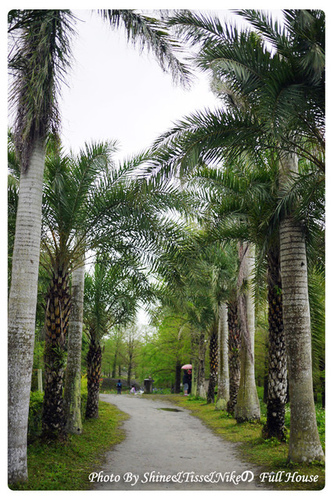 花蓮壽豐景點｜雲山水｜媲美國外美景，值得一去再去!