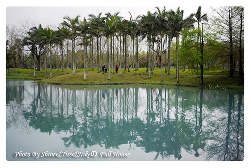 花蓮壽豐景點｜雲山水｜媲美國外美景，值得一去再去!