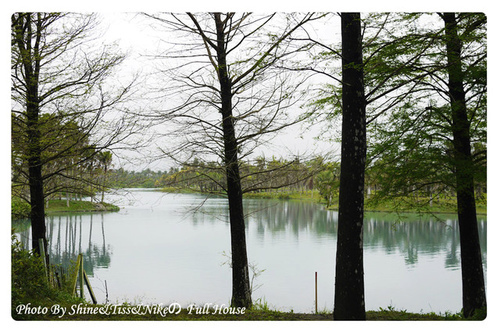 花蓮景點｜雲山水自然生態農莊｜好有詩意的湖畔，以為到了國外