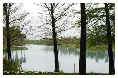 花蓮壽豐景點｜雲山水｜媲美國外美景，值得一去再去!