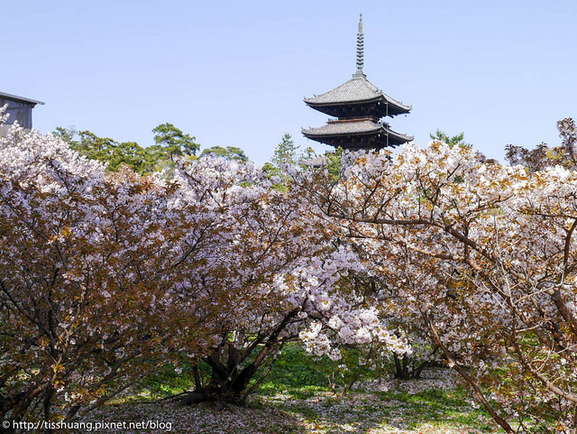 京都-66