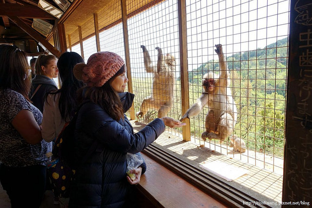 嵐山猴子公園