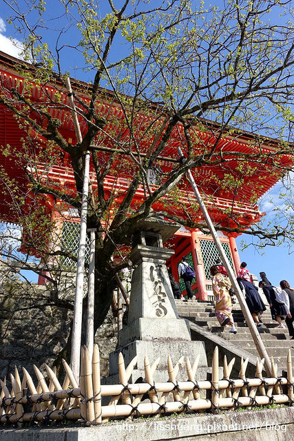 京都哲學之道清水寺135