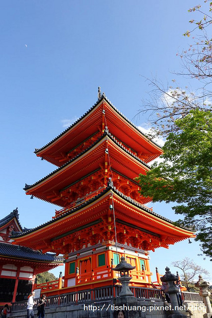 京都哲學之道清水寺141