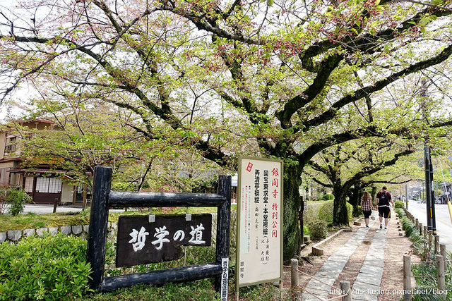 京都哲學之道清水寺006