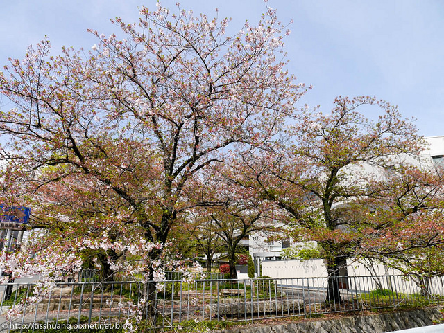 京都-11