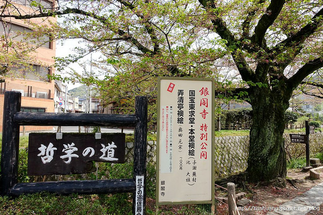 京都哲學之道清水寺009