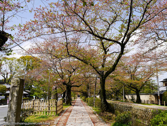 京都-20