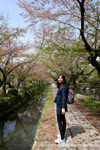 京都哲學之道清水寺014