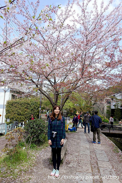 京都哲學之道清水寺019