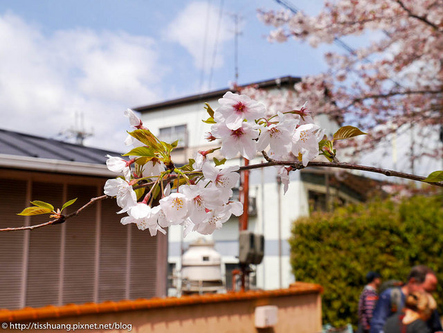 京都-23