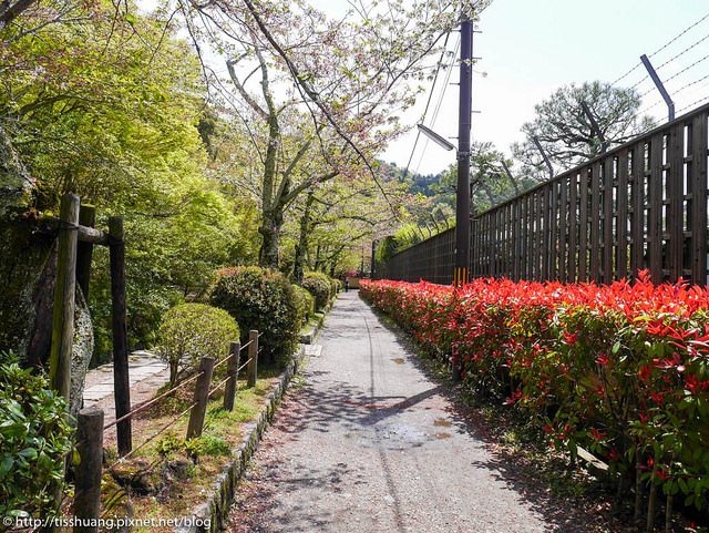 京都-40