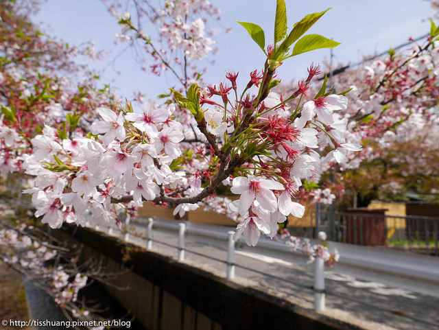 京都-10