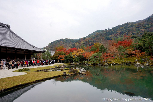 京都賞楓景點推薦｜嵯峨嵐山｜天龍寺賞曹原池借景式庭園之美