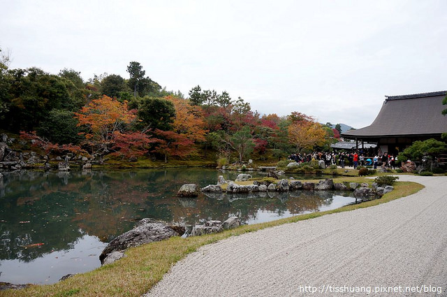 京都第四天135