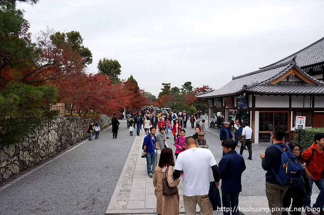 京都第四天154