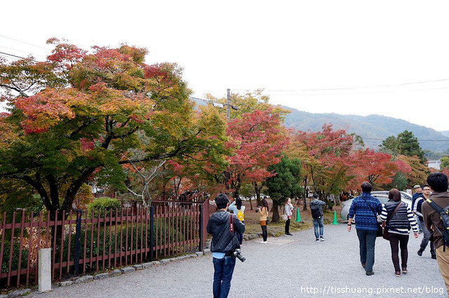 京都第四天157