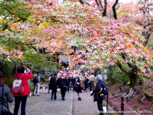 京都第四天211