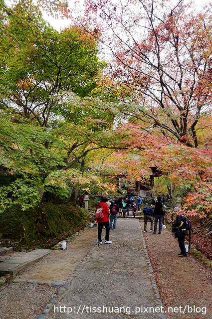 京都第四天063