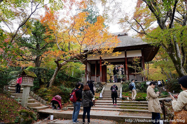 京都第四天064