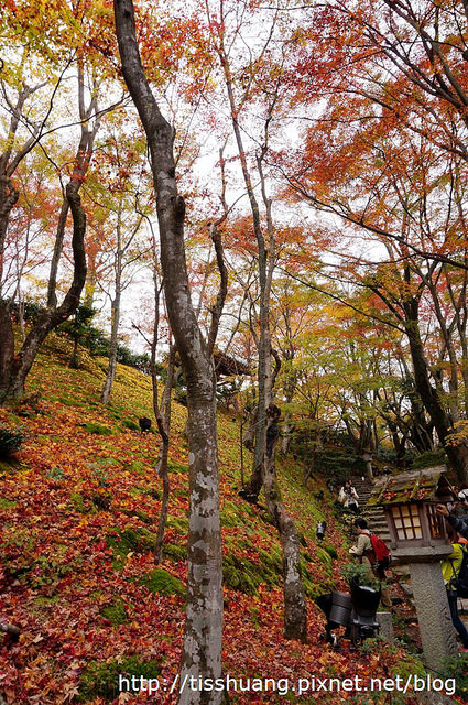 京都第四天070