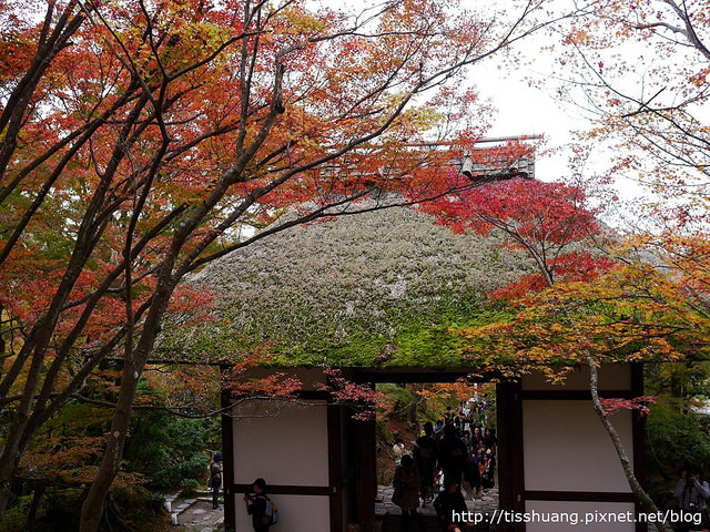 京都第四天224