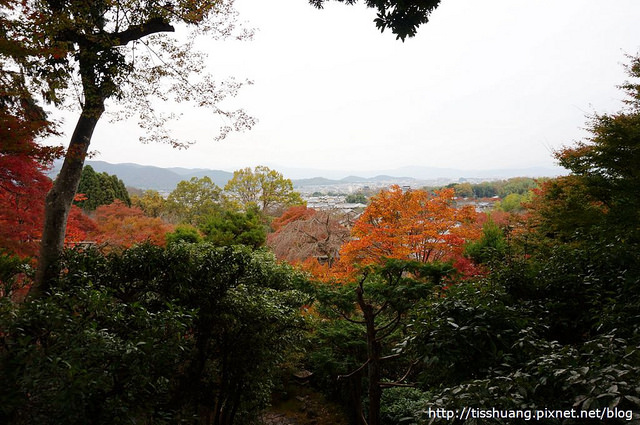 京都第四天088