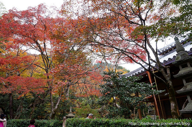 京都第四天097