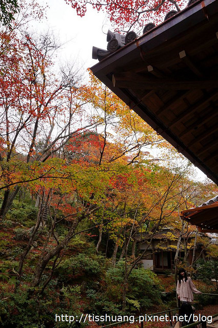 京都第四天098