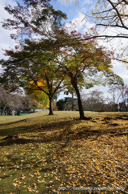 京都第二天056