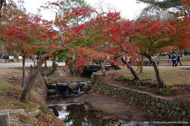 京都第二天099