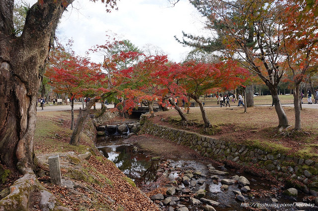 京都第二天098