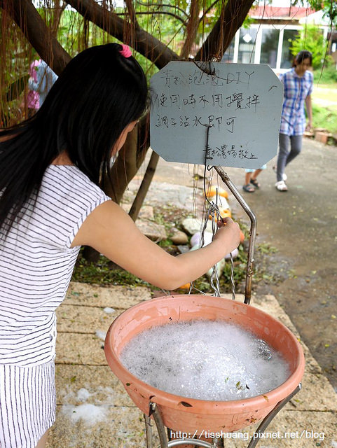 桃園青松農場01