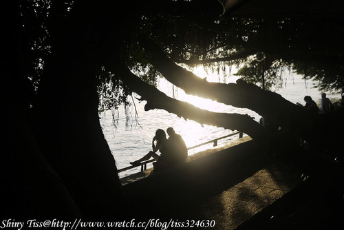 水灣餐廳waterfront榕堤店｜彷彿置身峇里島｜淡水看夕陽的好去處