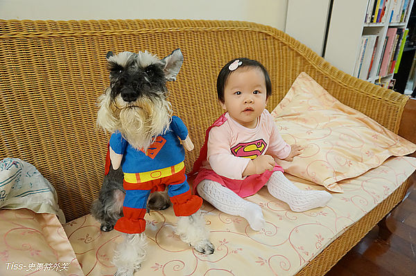 超人兄妹裝慶祝狗兒子奈寶滿六歲-他與翾妹妹如何互動呢?