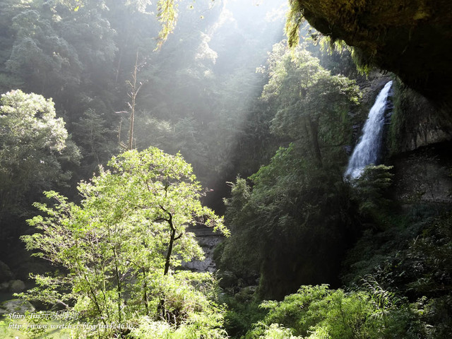 南投景點｜杉林溪森林生態渡假園區｜松瀧岩瀑布景觀篇