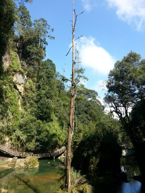 南投景點｜杉林溪森林生態渡假園區｜松瀧岩瀑布景觀篇