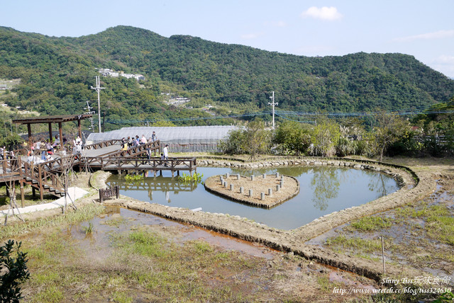 莓圃觀光休閒果園｜內湖採草莓｜超讓人驚豔的草莓繽紛pizaa｜白石湖吊橋踏青