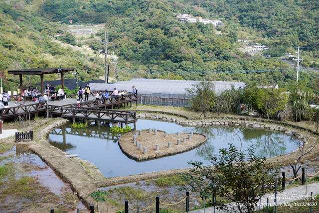 莓圃觀光休閒果園｜內湖採草莓｜超讓人驚豔的草莓繽紛pizaa｜白石湖吊橋踏青