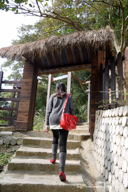 莓圃觀光休閒果園｜內湖採草莓｜超讓人驚豔的草莓繽紛pizaa｜白石湖吊橋踏青